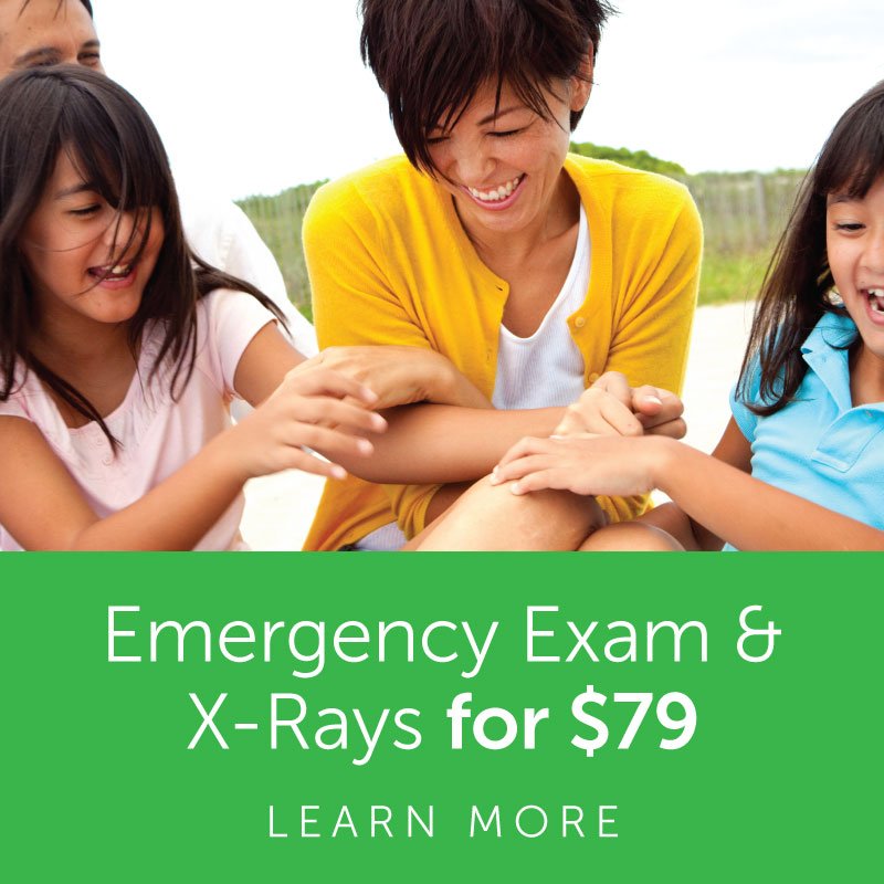 $39 New Patient Special